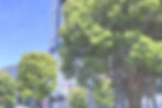 3548281_l_edited_edited.jpg